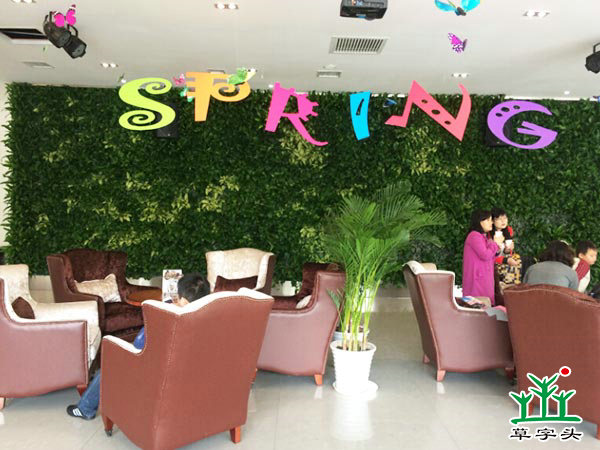 長(zhǎng)沙陽(yáng)光100——立體綠化、垂直綠化、墻體綠化、植物墻