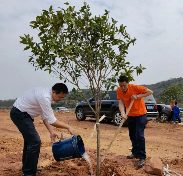 湖南草字頭生態(tài)環(huán)境建設(shè)有限公司,人造草坪假草皮,湖南雨水收集處理工藝 湖南草字頭生態(tài)環(huán)境建設(shè)有限公司,人造草坪假草皮,湖南雨水收集處理工藝